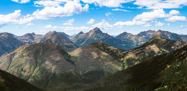 istock Aerial view of mountain landscape surrounded by dense trees 1452476320