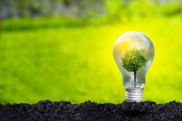 istock 3D illustration Renewable energy concept Earth Day or environmental protection Protect the forests that grow on the ground and help save the planet. 1452478436