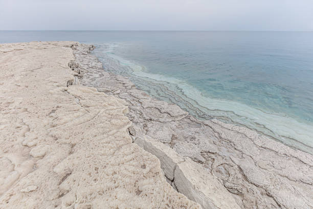 The salt on the stones, the seashore of the Dead Sea in Israel