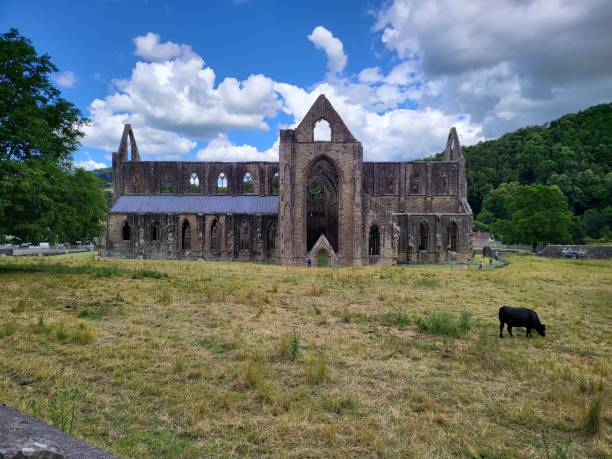 istock Low-angle view of an ancient building in the forest 1452482728