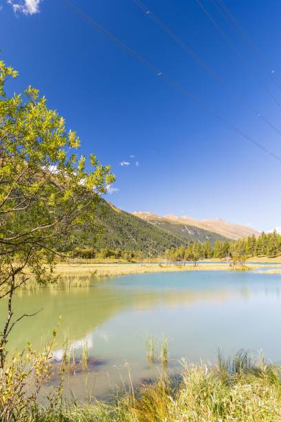 istock Blue sky over the lake with forested hills background 1452483792