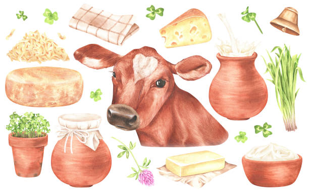 ilustraciones, imágenes clip art, dibujos animados e iconos de stock de conjunto de elementos sobre el tema de los productos lácteos. retrato de una vaca, jarra de leche, trébol, queso, mantequilla, manojo de hierba, campana. ilustración en acuarela. aislado sobre un fondo blanco. para tu diseño - animal head cow animal bell