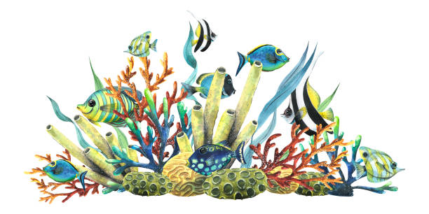 istock Sea sponges, corals, algae and tropical, bright fish. Watercolor illustration. Composition from the collection of TROPICAL FISH. For decoration and design of summer and beach prints, decor 1452484067