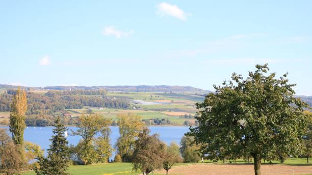 istock Beautiful view of a lake with trees around 1452486706