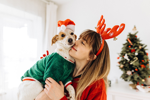 The beautiful woman wearing funny ornament sweater clothes loving her cute dog wearing a Santa hat on the Christmas time at cozy home interior