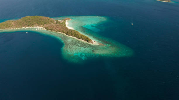 istock torpical island with white sandy beach, top view. 1452494820