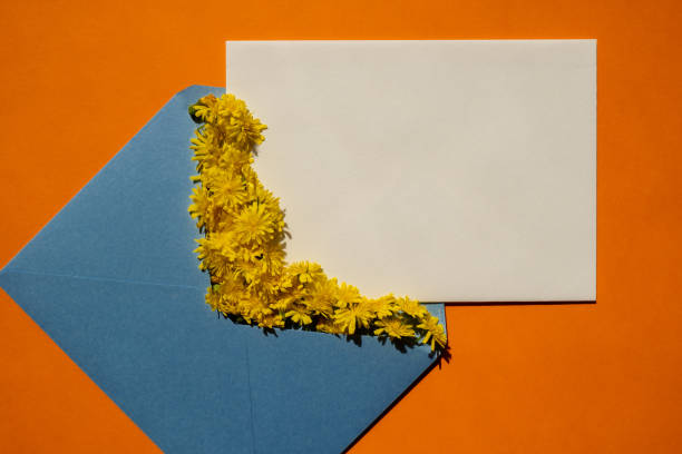 istock Beautiful little yellow chamomile daisies flowers on postal blue envelope on orange background, empty paper note copy space for text, spring time, greeting card for holiday. Minimalism concept Vivid colors. Creative. 1452496568