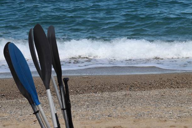 istock Closeup shot of paddles for rowing at the beach 1452496607