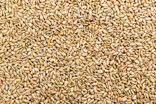 Sunflower Seeds Texture As Background. Pile of sunflower seeds without shell. Vegan healthy food. Flat lay