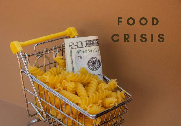 FOOD CRISIS text against Shopping trolley cart Filled With Pasta with 20 US dollar paper money banknote on Beige background. Food and groceries shopping price increase, Rising food cost food crisis inflation concept. crisis de alimentos texto contra el carrito de compras lleno de pasta con un billete de papel moneda de 20 dólares estadounidenses sobre fondo beige. aumento del precio de compra de alimentos y comestibles, aumento del costo de los alimentos inflación de