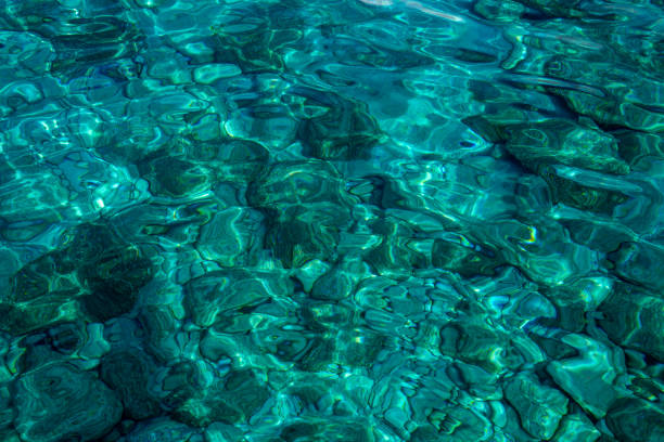 istock Lalaria beach on Skiathos island, Greece 1452502812