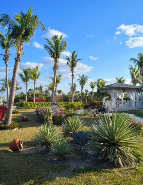 Cuban resort tropical garden stock photo