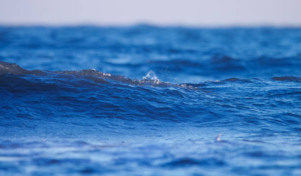 istock Ocean wave splashing on the beach. 1452508678