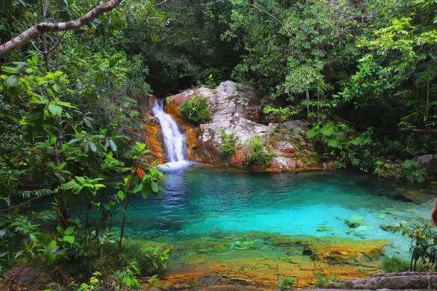 Photo of Beautiful nature in the national park of Chapada dos Veadeiros in Brazil