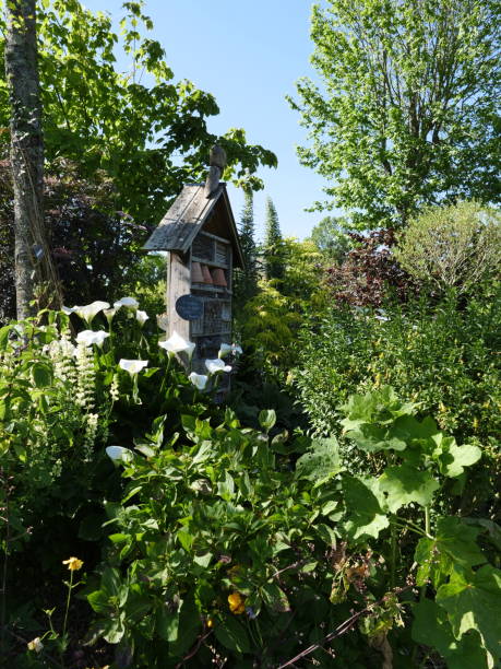 istock Insect Shelter in a garden 1452510658