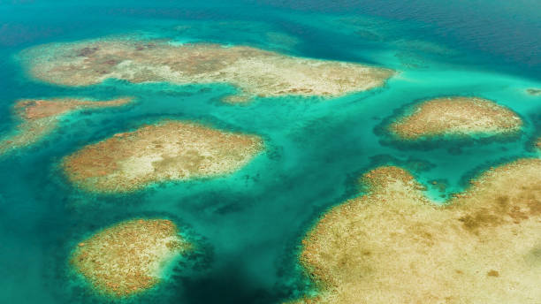 istock Transparent blue sea water in the lagoon. 1452512215