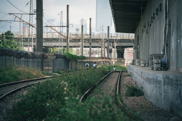 istock Empty old railroads under a bridge surrounded by transmission towers 1452515171