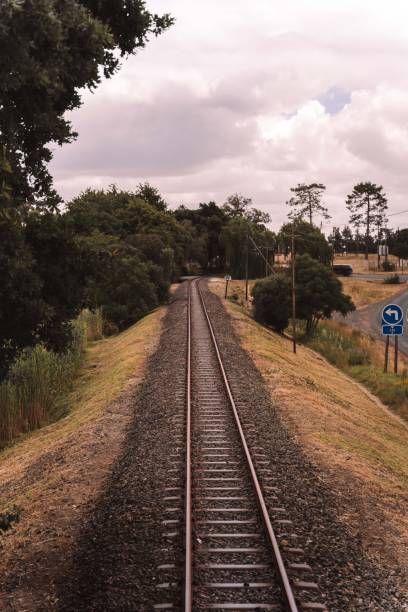 istock Vertical shot of an old train track between trees 1452515674