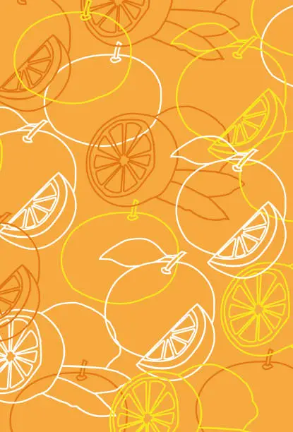 Vector illustration of Citrus pattern illustrations