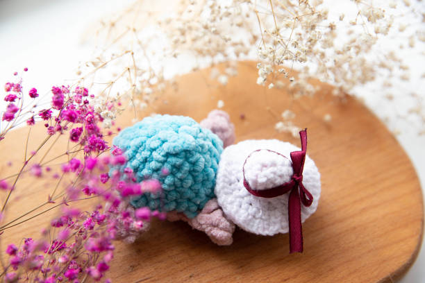 istock beautiful knitted turtle with a hat on a background of flowers 1452517009