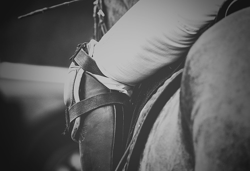 A detailed grayscale shot of the leg and knee protection of a mounted polo player
