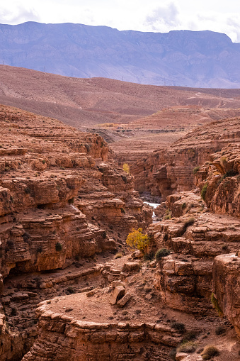 View of a mountain gorge in North Africa.