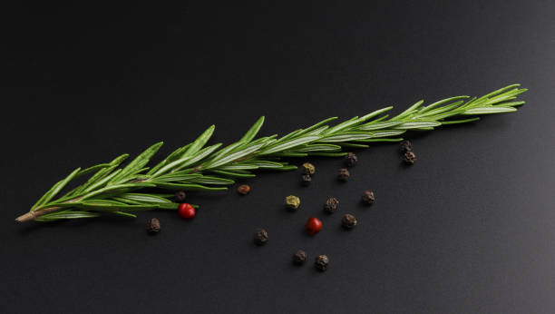 Sprig of fresh rosemary and peppers on black background Sprig of fresh rosemary and colorful peppers on black background rosemary dry spice herbal medicine stock pictures, royalty-free photos & images
