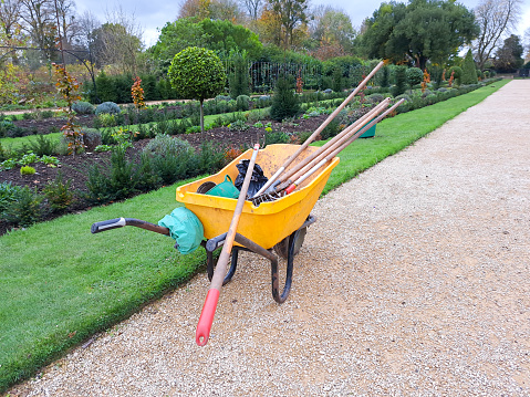 Gardeners wheelbarrow full of gardening tools left on pathway by formal gardens on an Autumn day, the garden being prepared for winter.