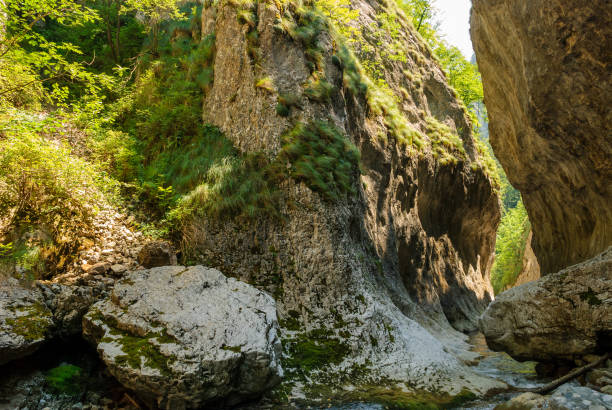 A mountain stream flowing through a canyon narrowed by vertical stone walls. The sharp, rocky cliffs of Ramet Gorges or Cheile Rametului ( Romania) during summer season in a sunny day. Natural tunnel. un arroyo de montaña que fluye a través de un cañón estrechado por paredes verticales de piedra. los acantilados afilados y rocosos de ramet gorges o cheile rametului (rumania) durante la temporada de verano en un día soleado. túnel natural