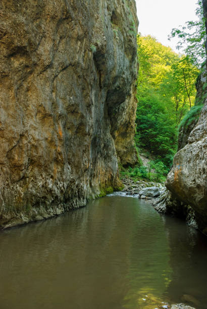 istock A mountain stream flowing through a canyon narrowed by vertical stone walls. The sharp, rocky cliffs of Ramet Gorges or Cheile Rametului ( Romania) during summer season in a sunny day. Natural tunnel 1452523288