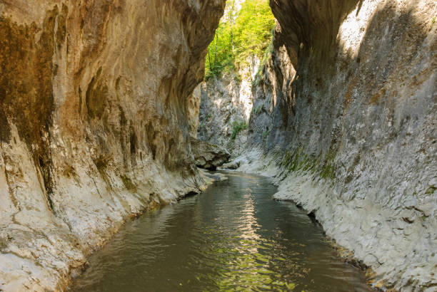 A mountain stream flowing through a canyon narrowed by vertical stone walls. The sharp, rocky cliffs of Ramet Gorges or Cheile Rametului ( Romania) during summer season in a sunny day. Natural tunnel. un arroyo de montaña que fluye a través de un cañón estrechado por paredes verticales de piedra. los acantilados afilados y rocosos de ramet gorges o cheile rametului (rumania) durante la temporada de verano en un día soleado. túnel natural
