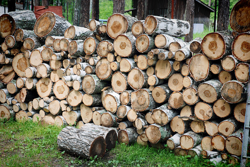 Large birch firewood and chocks lie in a stack and dry on a summer day in the forest