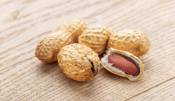 arachide. un baccello di fagioli di arachidi. primo piano. su un tavolo di legno. - hazelnut nut seed pod foto e immagini stock