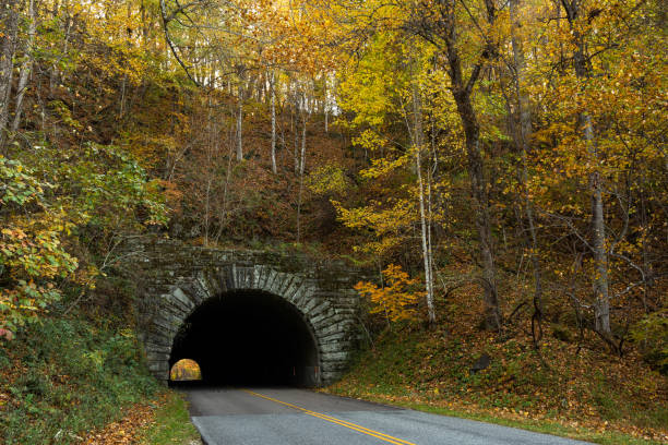 istock Little Switzerland Tunnel, Blue Ridge Parkway 1452529512