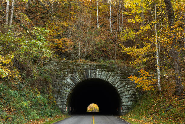 istock Little Switzerland Tunnel, Blue Ridge Parkway 1452529516