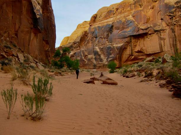istock Leaving The Great Gallery in Horseshoe Canyon 1452530723