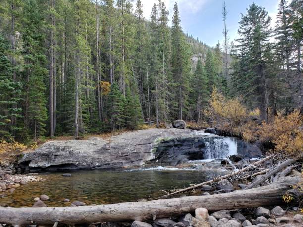istock Waterfall flowing to the small pond surrounded by fir forest trees 1452531774