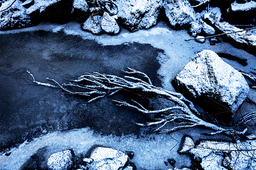 Fallwn tree in a icy creek, harshly processed, mystical and gothic feeling