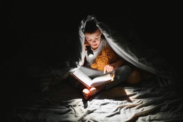 istock Reading book and using flashlight. Young boy in casual clothes lying down near tent at evening time 1452536250