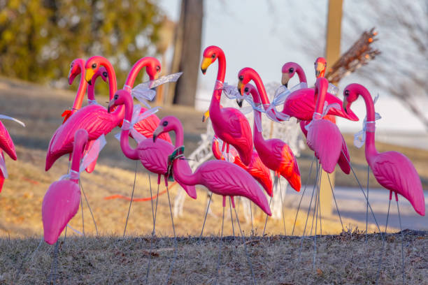 istock Pink flamingo decorations at Christmas 1452540655