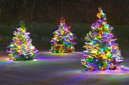 Colorful Christmas Tree lights, covered in fresh snow.