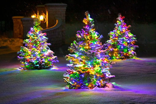Colorful Christmas Tree lights, covered in fresh snow.