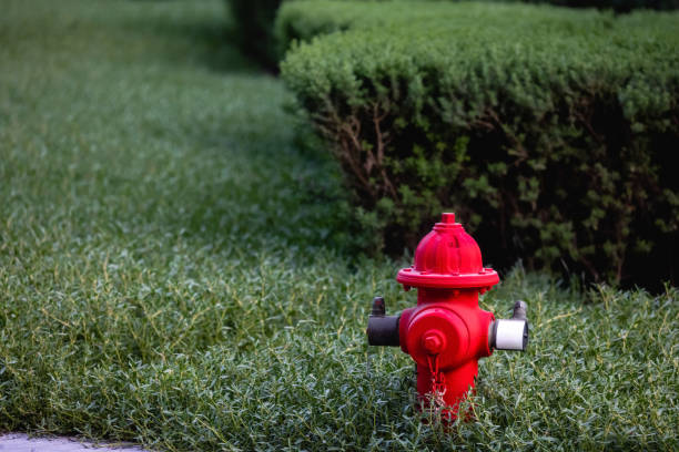 Bright red firehydrant in green bushes. High quality photo