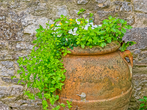 green, window, old, stone, house, flower, pots, plants,