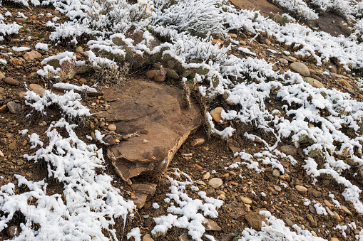 Detail photo of light snow on bare desert ground.