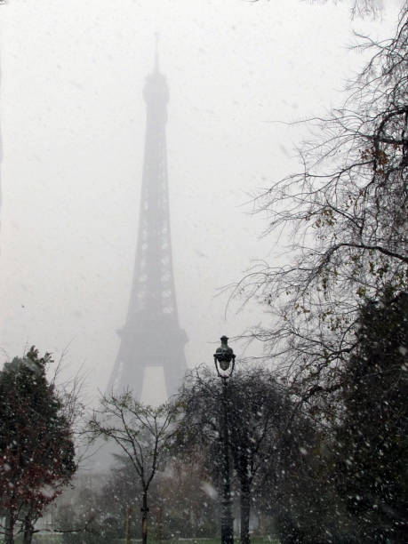 istock A Parisian glimpse with trees under snowflakes, in the foreground, and the muffled silhouette of the Eiffel Tower in the background, Paris, France 1452544045