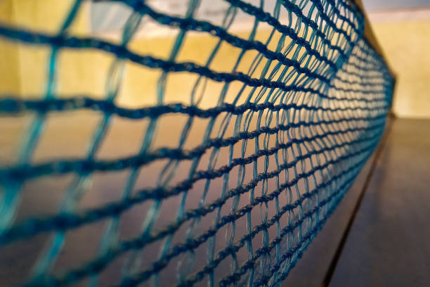 istock Close up of table tennis net 1452545370