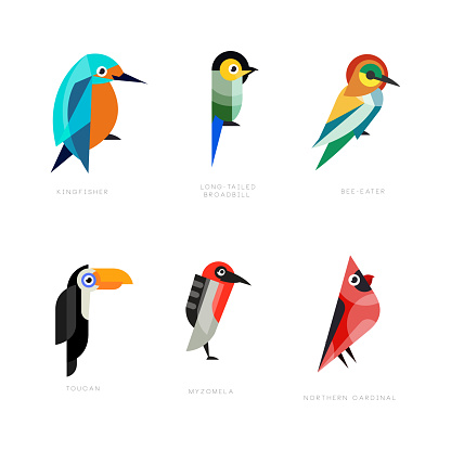 Colorful Stylized Birds Collection with Kingfisher, Long-tailed Broadbill, Bee-eater, Toucan, Myzomela and Northern Cardinal Vector Set. Feathered Fauna Name Concept
