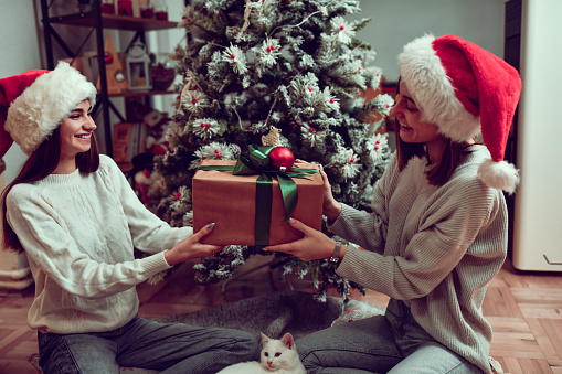 Smiling Female Happy To Accept Christmas Present From Sister