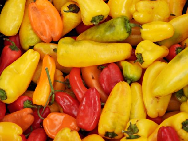 istock Mini Sweet Peppers @ $.99/lb. 1452562539